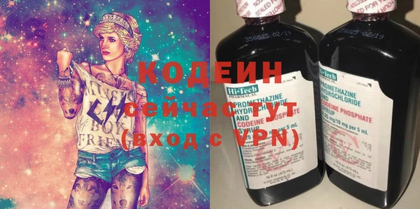 хмурый Заводоуковск