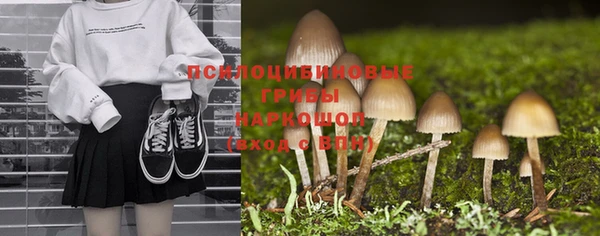 хмурый Заводоуковск