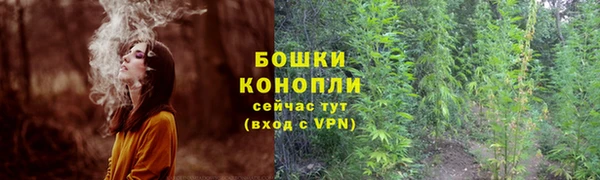 эйфоретик Заволжье