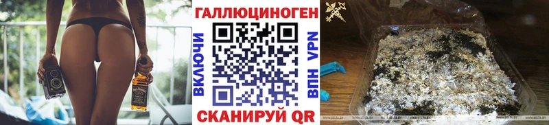 Купить где  Болхов  Галлюциногенные грибы мицелий 